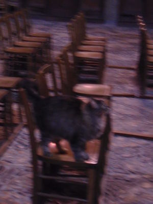 Exkursion2011_103.JPG
