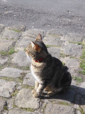 Exkursion2011_603.JPG