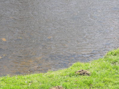 Exkursion2011_750.JPG