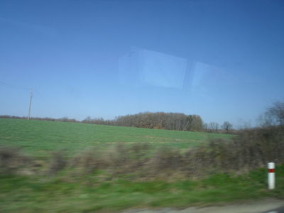 Exkursion2011_756.JPG
