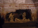 Exkursion2011_720.JPG