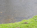 Exkursion2011_750.JPG